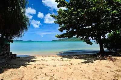 a beach with a tree and the ocean at Chalong Beach Front Residence in Rawai Beach