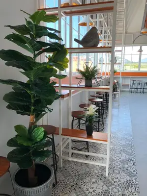 a plant in a room with tables and chairs at Peranakan House in Phuket Town