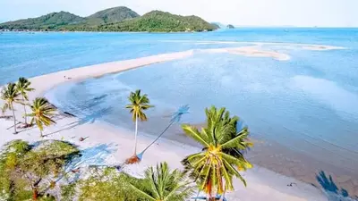 an aerial view of a beach with palm trees and the ocean at Antonio's Ko Yao Noi in Ko Yao Noi