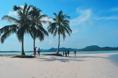 a group of people standing on a beach with palm trees at Antonio's Ko Yao Noi in Ko Yao Noi