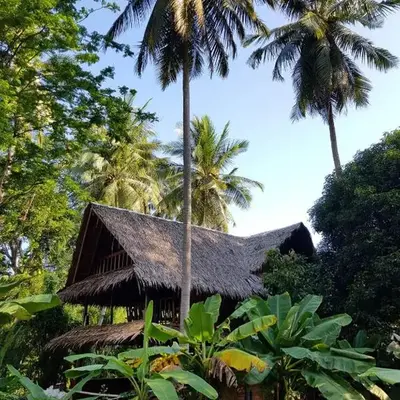 Antonio's Ko Yao Noi