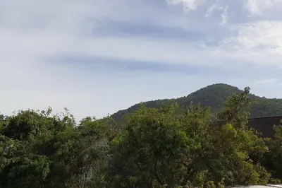 a group of trees with a mountain in the background at Praew Mansion in Kamala Beach