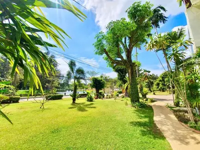 a park with palm trees and a path at The Sands 3 Bedrooms Beachside Apartment in Naiharn in Nai Harn Beach