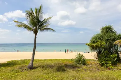 a palm tree on a beach with people in the ocean at Palmetto by Holy Cow, 2-BR, Sea View in Karon Beach
