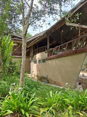 a house in the middle of a forest at Big Hug Home in Ko Yao Noi