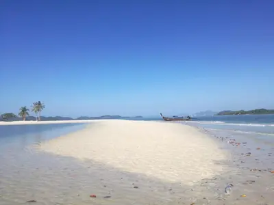 a sandy beach with two palm trees and the ocean at Mr Bao Homestay & Bungalows in Ko Yao Noi