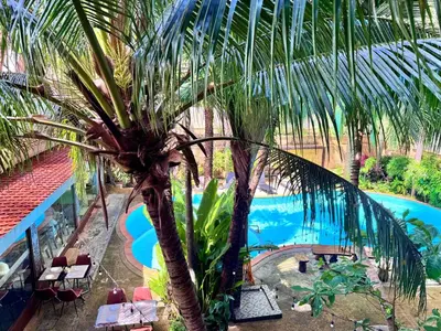 a palm tree in front of a swimming pool at NBC Condo, 2-BR, NaiHarn Beach in Nai Harn Beach