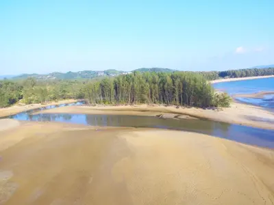 an aerial view of a beach with trees and water at The Title Residencies Naiyang Beach in Nai Yang Beach