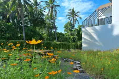 a field of flowers in front of a building at Chomdao Maikhao in Mai Khao Beach