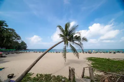 a palm tree on a beach with people in the ocean at 2BDR Apartment near Surin beach PALM-C703 in Surin Beach