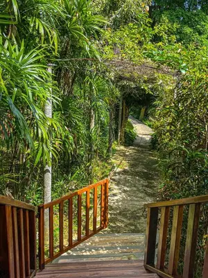 a wooden walkway with a wooden fence and trees at Hillhouse - Koh Yao Noi in Ko Yao Noi