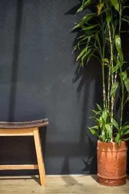 a plant in a pot next to a wooden chair at Dee Homestay in Ban Pa Khlok