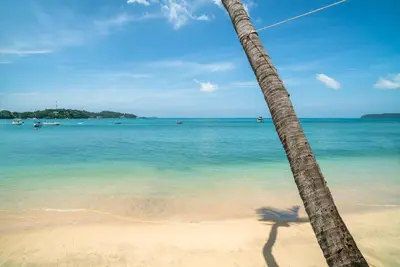 a palm tree on a beach with the ocean at Dreambeach 2-villas in Panwa Beach