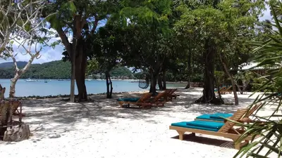 a beach with chairs and trees and a body of water at The Mooring Resort in Panwa Beach