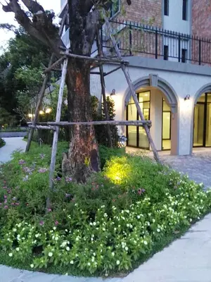 a tree in a bed of flowers in front of a building at The Apartment at The Title Residencies Naiyang Beach in Phuket Town