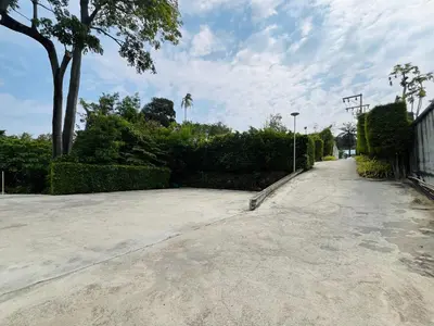 an empty driveway with a palm tree and a street at Charcoal Panwa Beach Phuket in Ban Tha Khreng