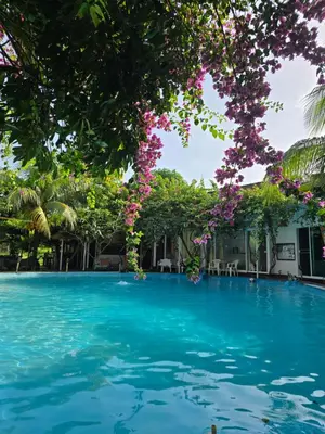 a swimming pool with blue water and trees at OASIS Phuket Airport in Nai Yang Beach