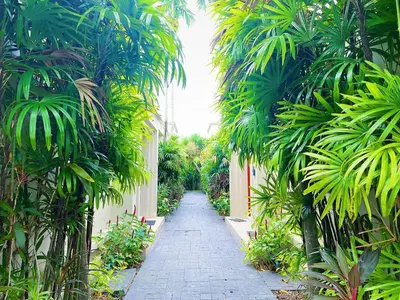 an alley with palm trees in a garden at Beautiful 1br Plunge Pool Villa Walk To Bangtao Beach in Ban Thalat Choeng Thale