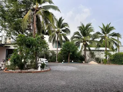 a driveway with palm trees in front of a building at นิวเวฟภูเก็ต in Ban Na Kok