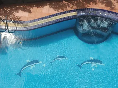 a group of dolphins swimming in a swimming pool at Kata Sea View Villas in Kata Beach