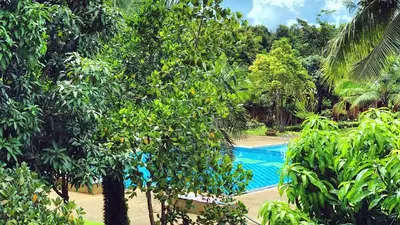 a view of a swimming pool through the trees at Doo Dee Boutique Resort by Swiss Chalet in Ao Nang Beach