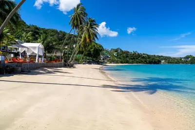 a beach with palm trees and blue water at Mango Tree Villa in Panwa Beach