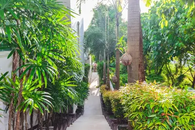 a walkway through a garden with trees and plants at Davina Beach Homes in Panwa Beach