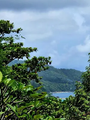 a view of a lake from between two trees at Kata Garden Resort SHA Extra Plus in Kata Beach