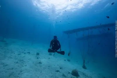 a man standing in the ocean under the water at Lucky Sun Patong in Patong Beach