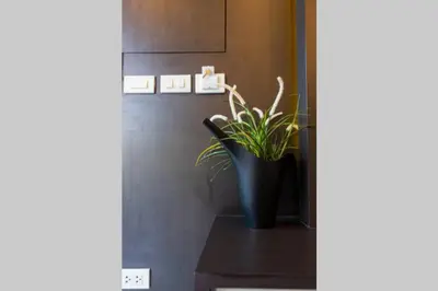a plant in a black vase in a room at Honeybee Pool Villa Smooth as Silk in Ao Nang Beach