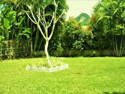 a tree in a white planter in the grass at Honeybee Pool Villa Smooth as Silk in Ao Nang Beach