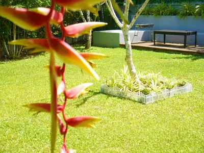 a close up of a flower in a garden at Honeybee Pool Villa Smooth as Silk in Ao Nang Beach
