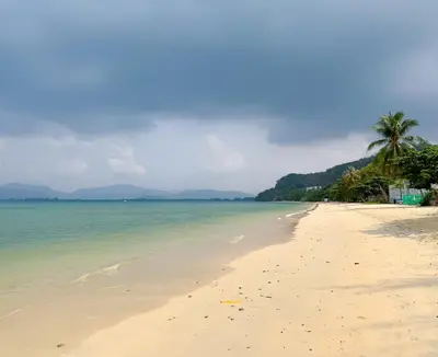 a beach with a palm tree and the ocean at Sea Dreamer Beachfront Apartments in Phuket Town