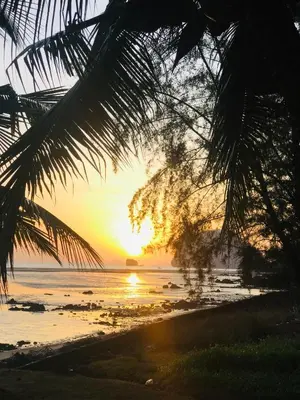 a sunset on a beach with a palm tree at Koh Yao Yai Sea Breeze House เกาะยาวใหญ่ซีบรีซเฮ้าส์ in Ko Yao Yai