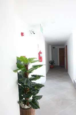 a plant in a basket in a hallway at B3 HOUSE in Kamala Beach