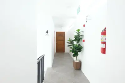 a hallway with a potted plant and a door at B3 HOUSE in Kamala Beach