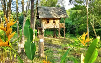 a tree house in the middle of a forest at Treehouse Holidays-Family house in Ko Yao Noi