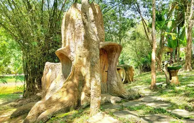 a tree stump in the middle of a forest at Treehouse Holidays-Family house in Ko Yao Noi