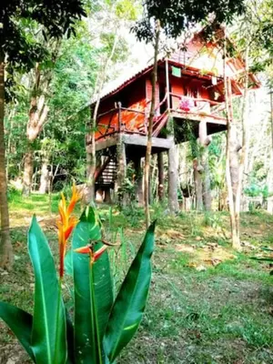 a house in the woods with a plant in front of it at Treehouse Holidays-Garden View in Ko Yao Noi