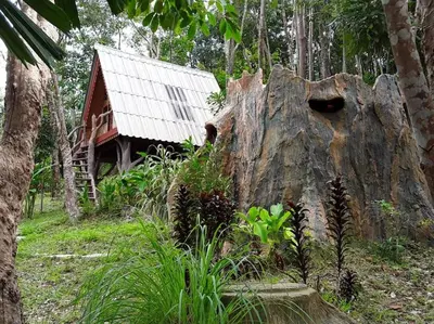 a tree stump with a house in a forest at Treehouse Holidays-Little house in Ko Yao Noi