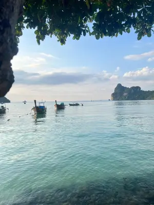 a group of boats floating in the water at Dalum Beachhouse in Phi Phi Don