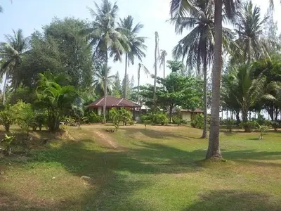 a park with palm trees and a house in the background at Koh Yao Noi Beach Resort in Ko Yao Noi