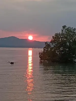 a sunset over a body of water with a tree in the water at Baan I Ta Lay Koh Yao Noi in Ko Yao Noi