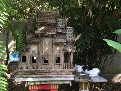 a cat laying on top of a bird house at Fern House Retreat in Chalong