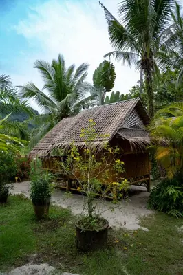 a house with a thatched roof and palm trees at Bananas Resort & Restaurant in Tha Lane Bay