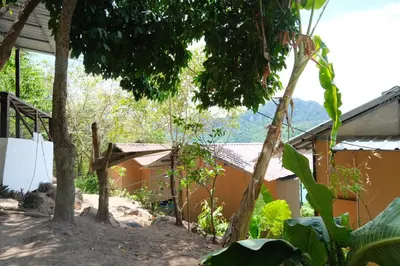 a view of a house from the garden at Phi Phi Seaside Bungalow in Phi Phi Don