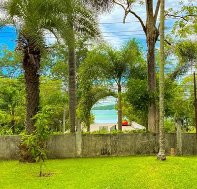 a garden with palm trees and a retaining wall at Tropical garden in Phuket Town