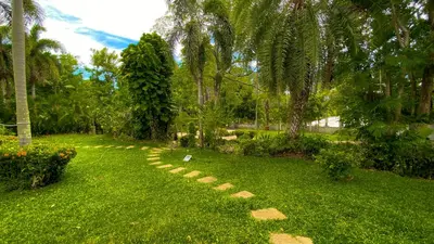 a path through a park with palm trees and grass at Tropical garden in Phuket Town