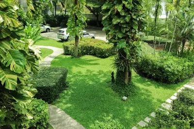 an aerial view of a green yard with trees at Casuarina Shores Apartment - SHA Plus in Bang Tao Beach