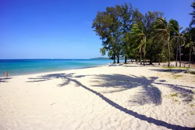 two shadows of palm trees on a sandy beach at Casuarina Shores Apartment - SHA Plus in Bang Tao Beach